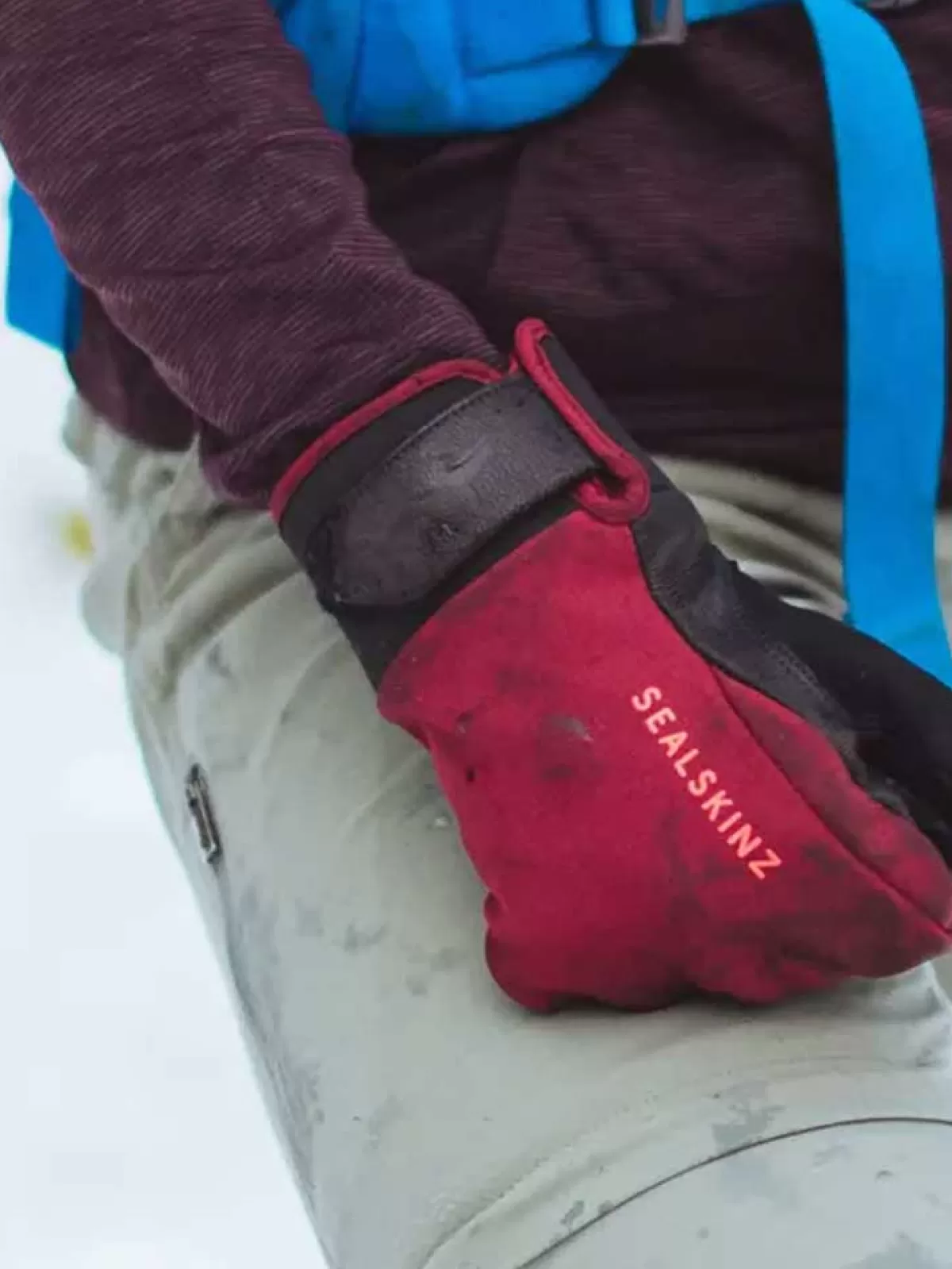Online Sealskinz 20% Off - Gloves - Women's Waterproof All Weather Insulated - Red