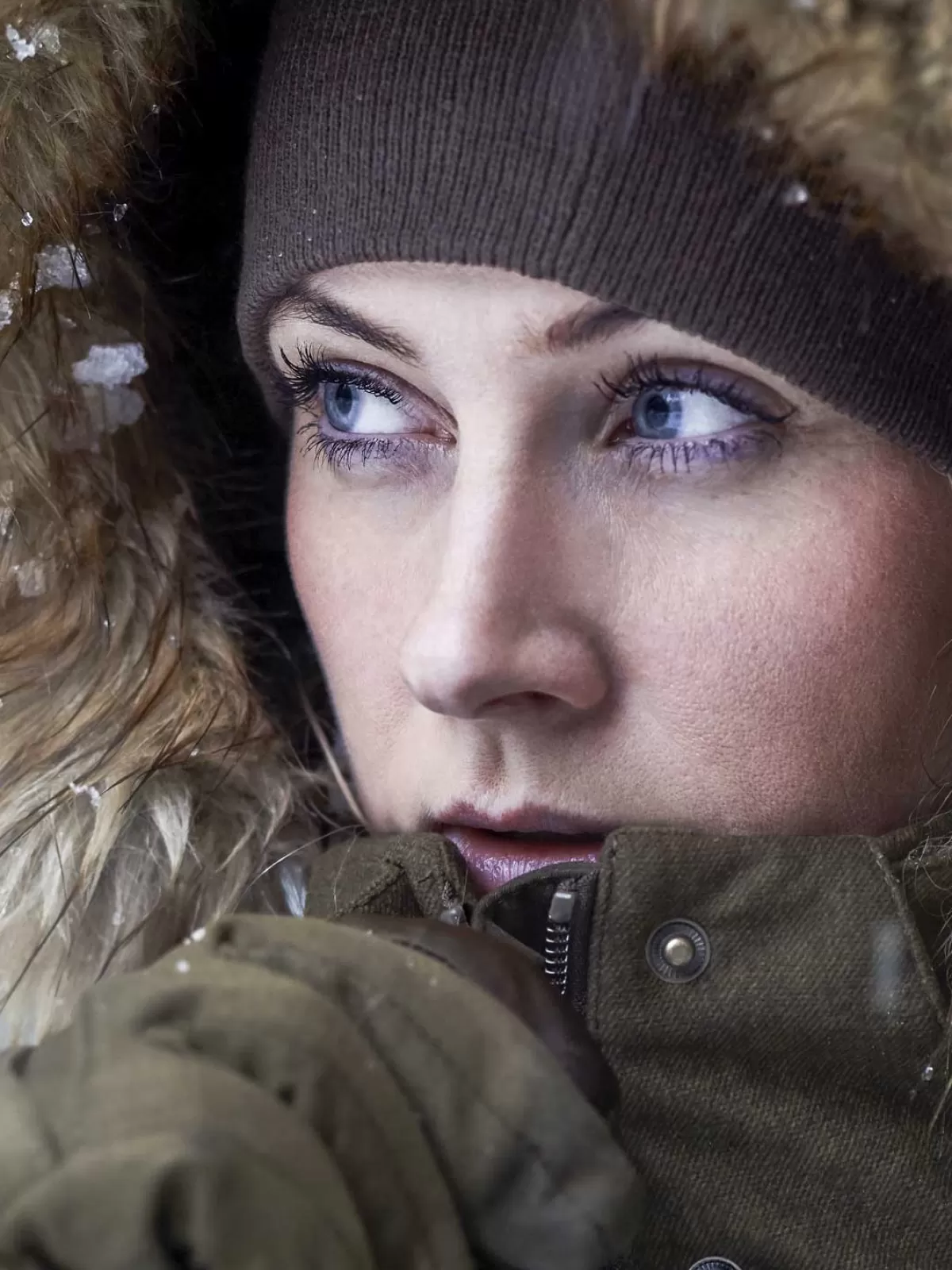 Shop Seeland 30% Off North Jacket - Ladies Thinsulate Lined - Pine Green - Size: Uk 14 (Eu42)