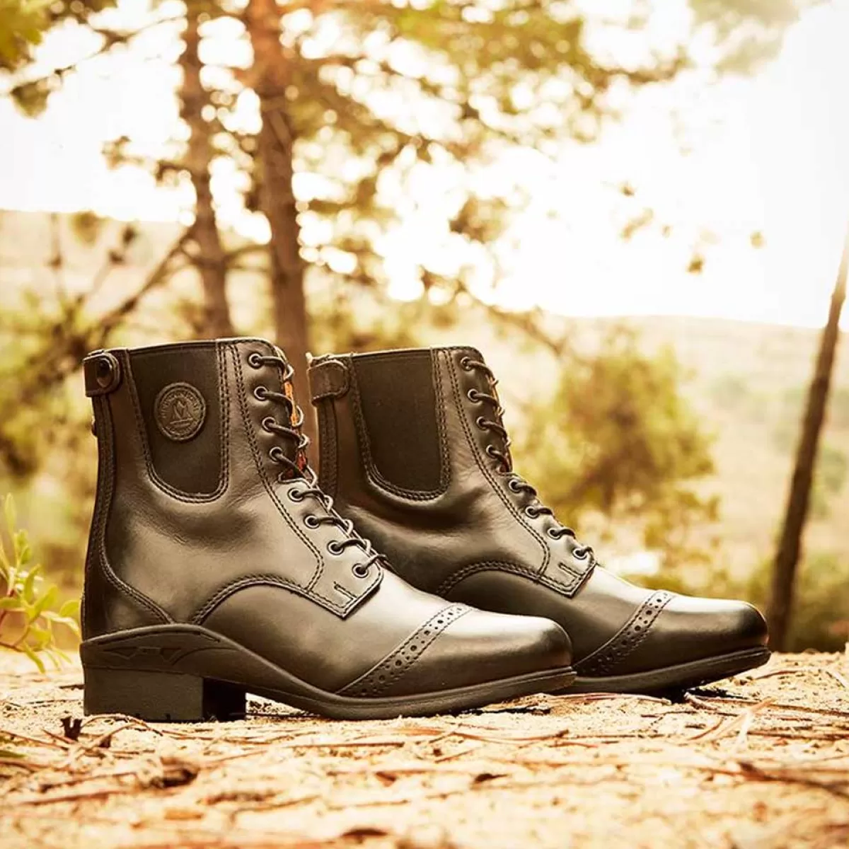 Store Mountain Horse Aurora Lace Paddock Boots - Back Zip Black