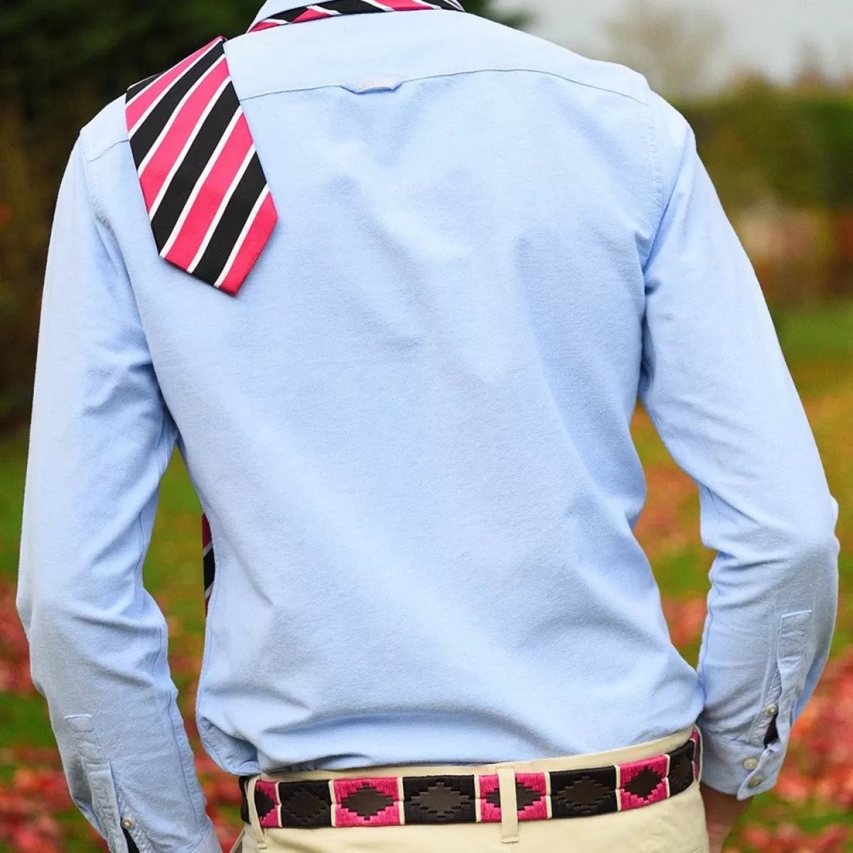 Best Pioneros Polo Belt - Wide Argentinian - 122 Black/Berry With White Stripe