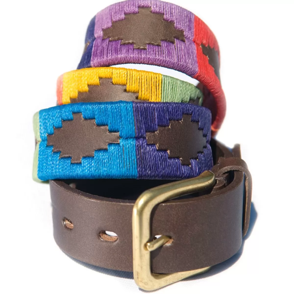 Shop Pioneros Polo Belt - Wide Argentinian - 167 Rainbow