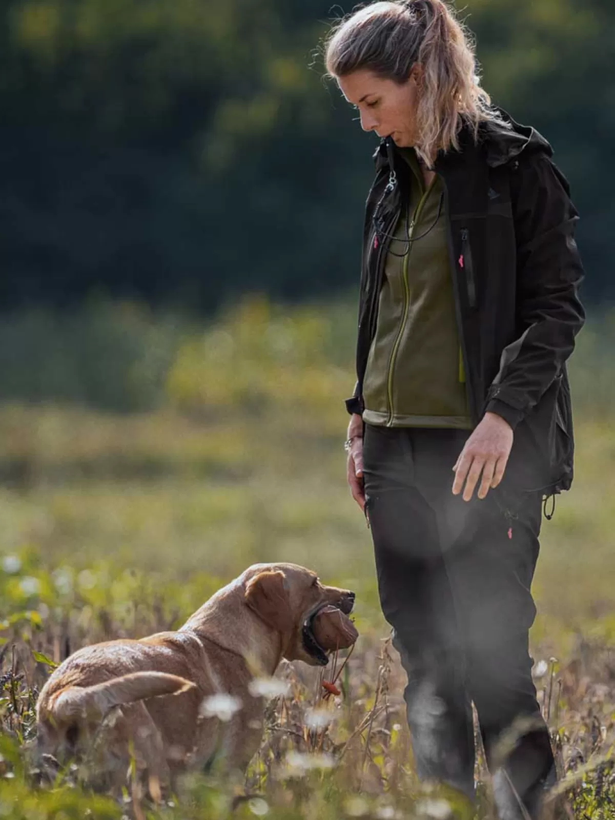 Hot Seeland Dog Active Jacket - Ladies Meteorite